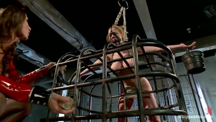 [WhippedAss] - Dee Williams Meets Her Match: Ariel X's Lesdom Expertise - Dee Williams - Ariel Carmine