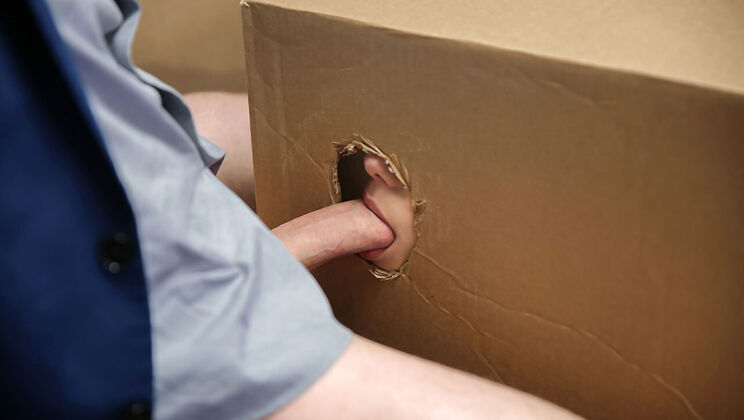 Anal Access with Romeo Price