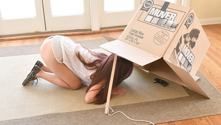 [ExxxtraSmall] - Elle Voneva as Tiny Teen Thief - Elle Voneva