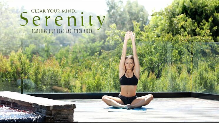 Brunette Bombshell Tyler Nixon Fucks