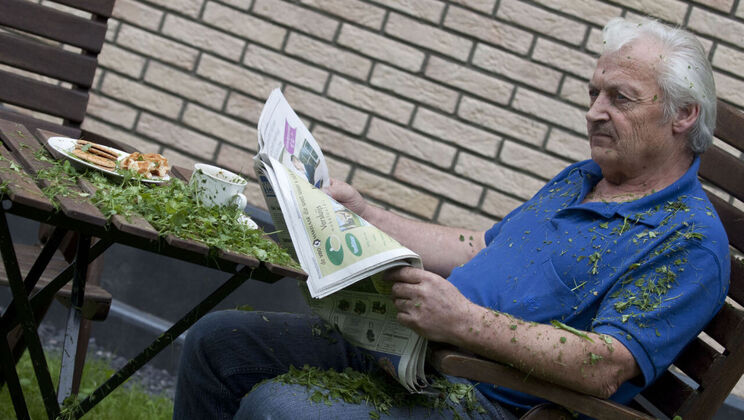 [Oldje] - Nice Young Excuse - Bernice - Gustavo