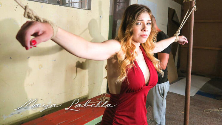 [Submissed] - Maya Labella's Big Tits BDSM - Maya Labella